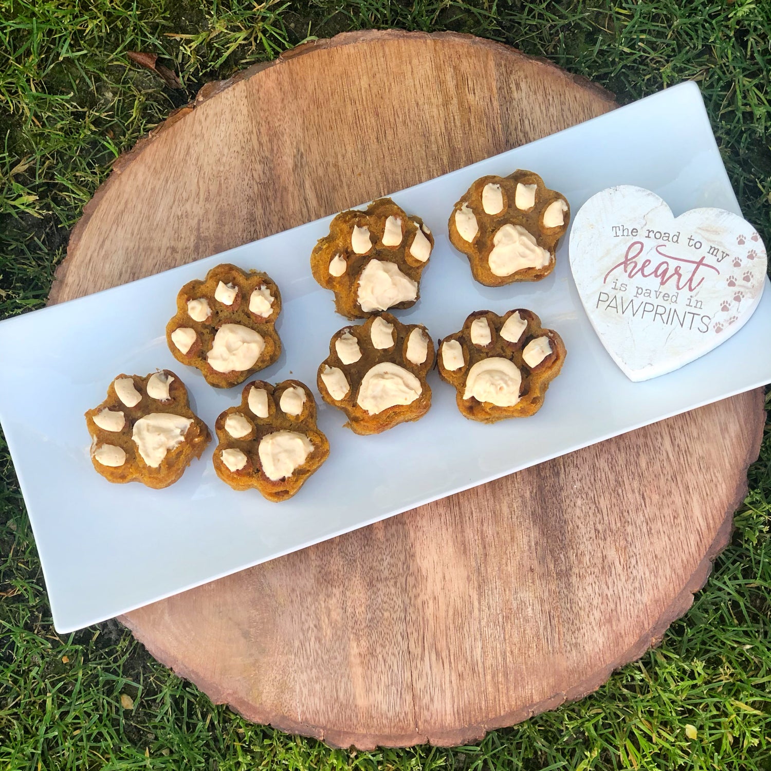 Cakes & Pupcakes