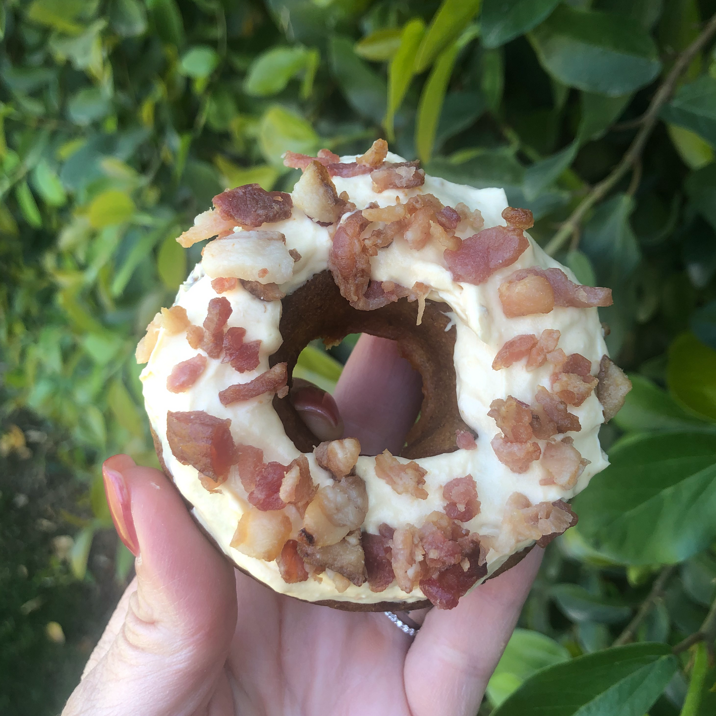 Peanut Butter Bacon Donuts - 3 pack