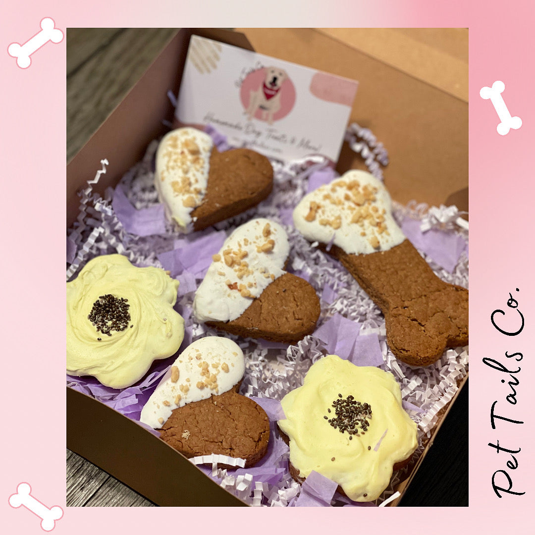 Yogurt Dipped Peanut Butter Cookie Box- 7 ct