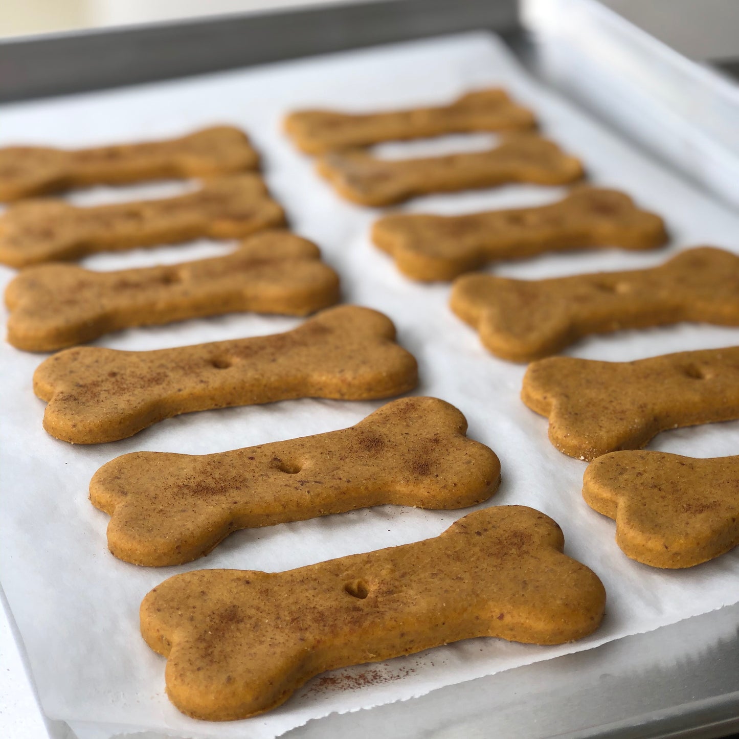 Pumpkin Peanut Butter Dog Biscuits - 3.5oz